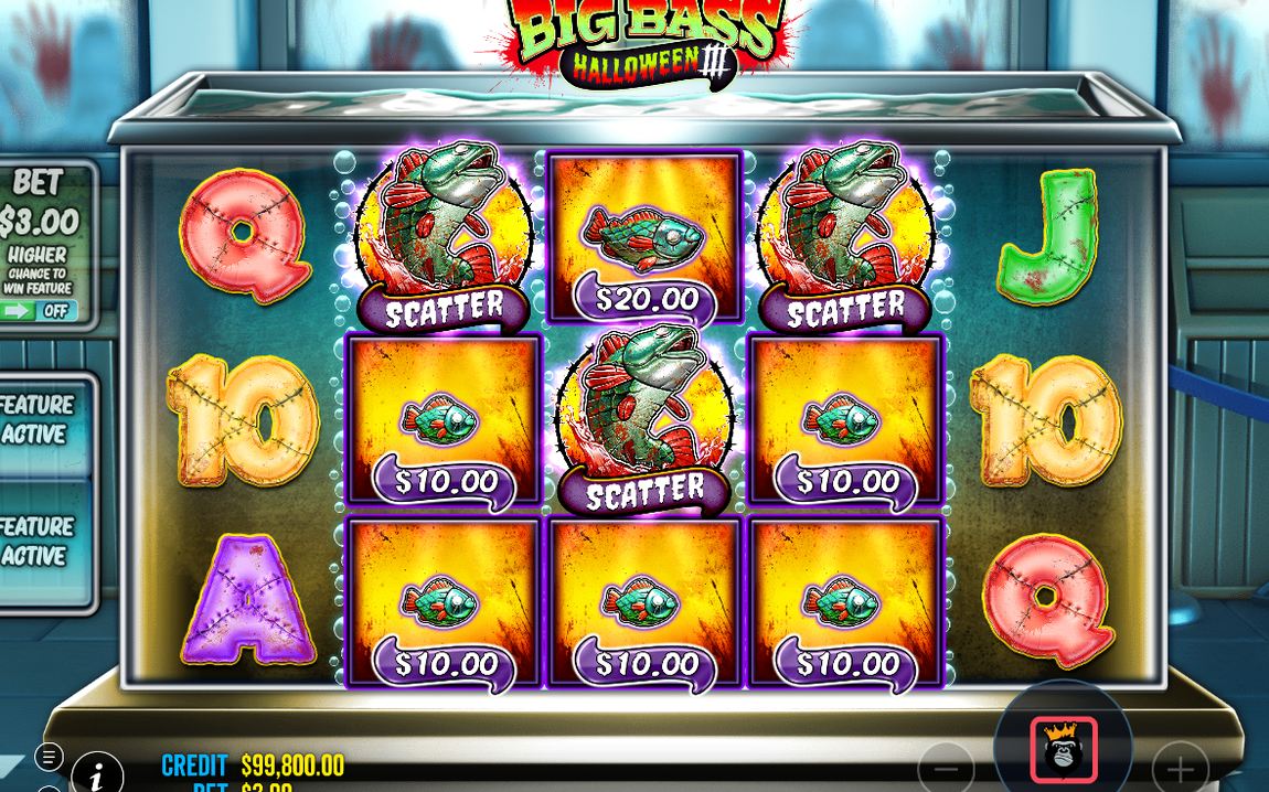 Free spins med blått och rött spår för WILD FISHERMAN